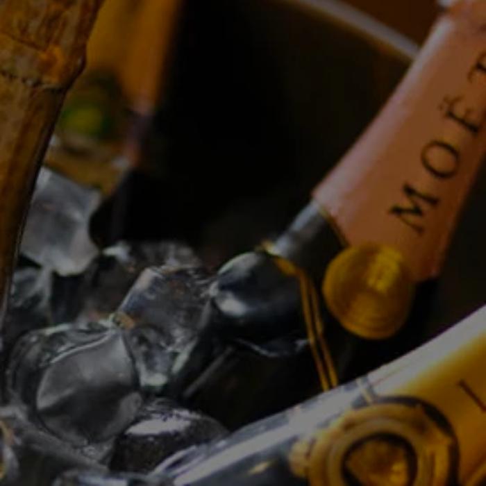 MMD CHAMPAGNE ROSE 08